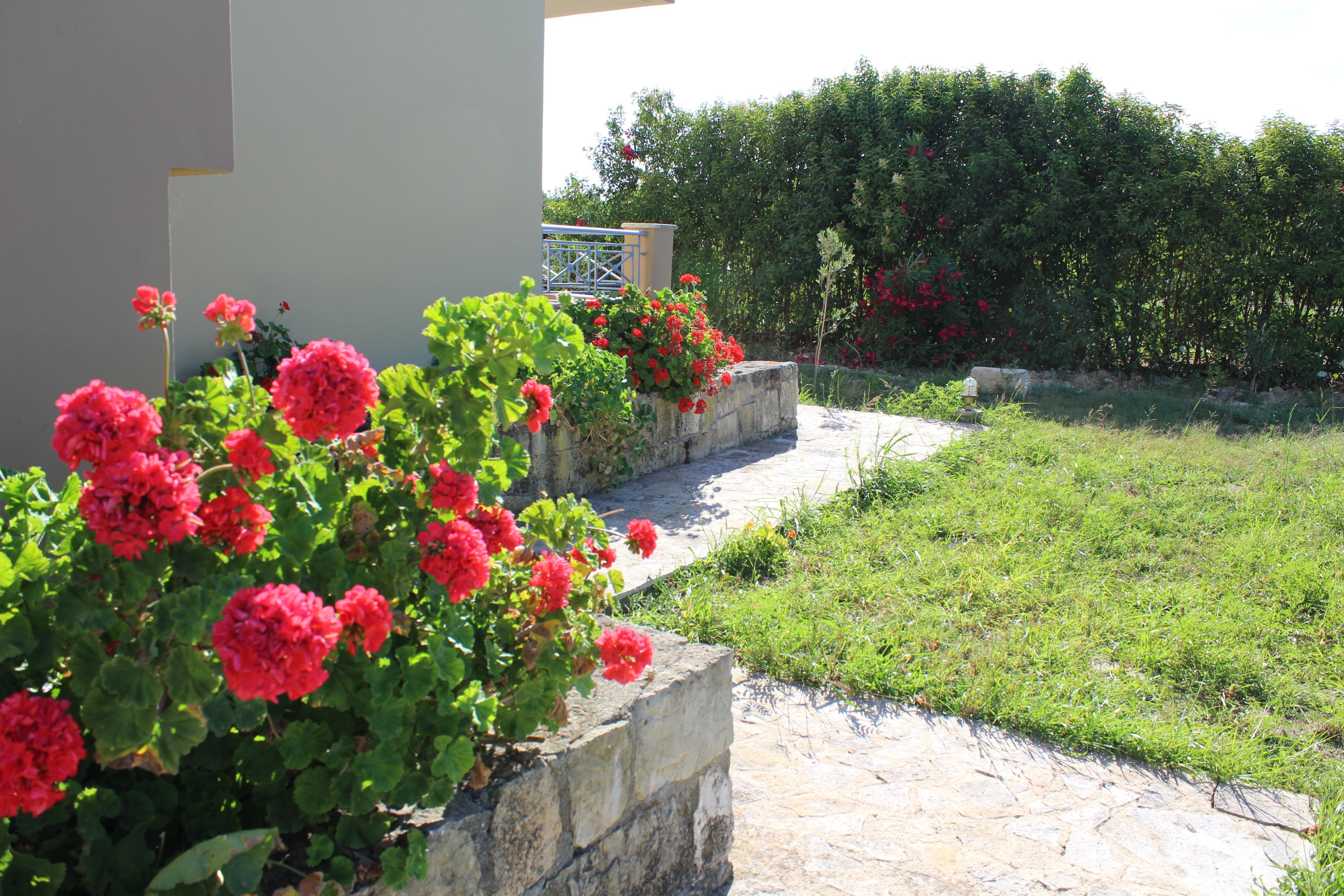 Aggelina S Apartments Xi Beach Bagian luar foto